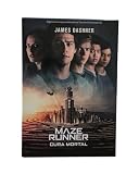 Box Maze Runner - Edição completa