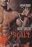Slade: Novas Espécies